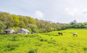 Cwm Lane, Abergavenny